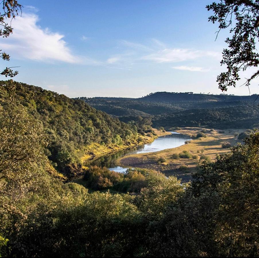 Agua Dulce , Rural *