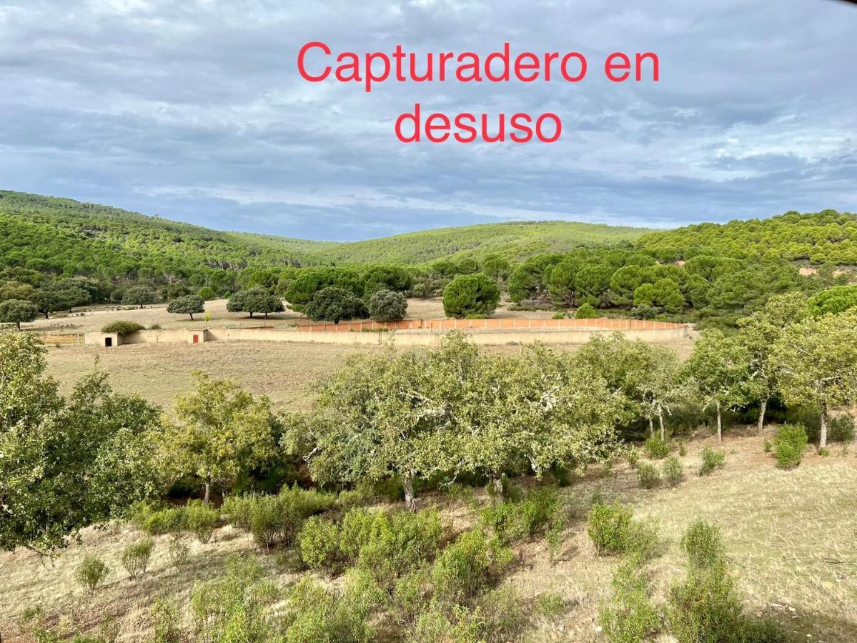 Agua Dulce , Rural * Herrera del Duque